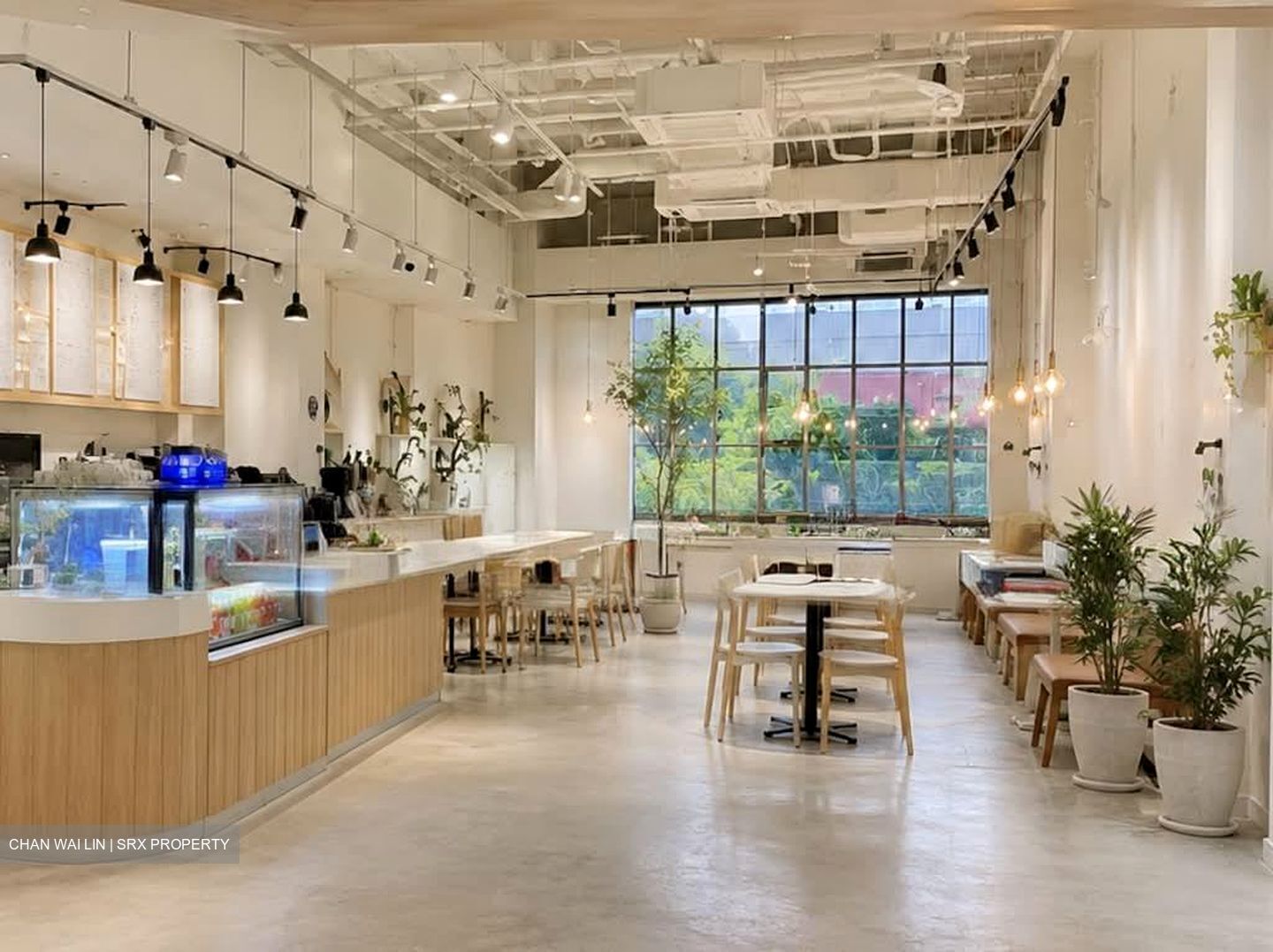 Cuppage Plaza (D9), Retail #585389161